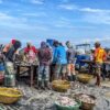 Seafood in Negombo